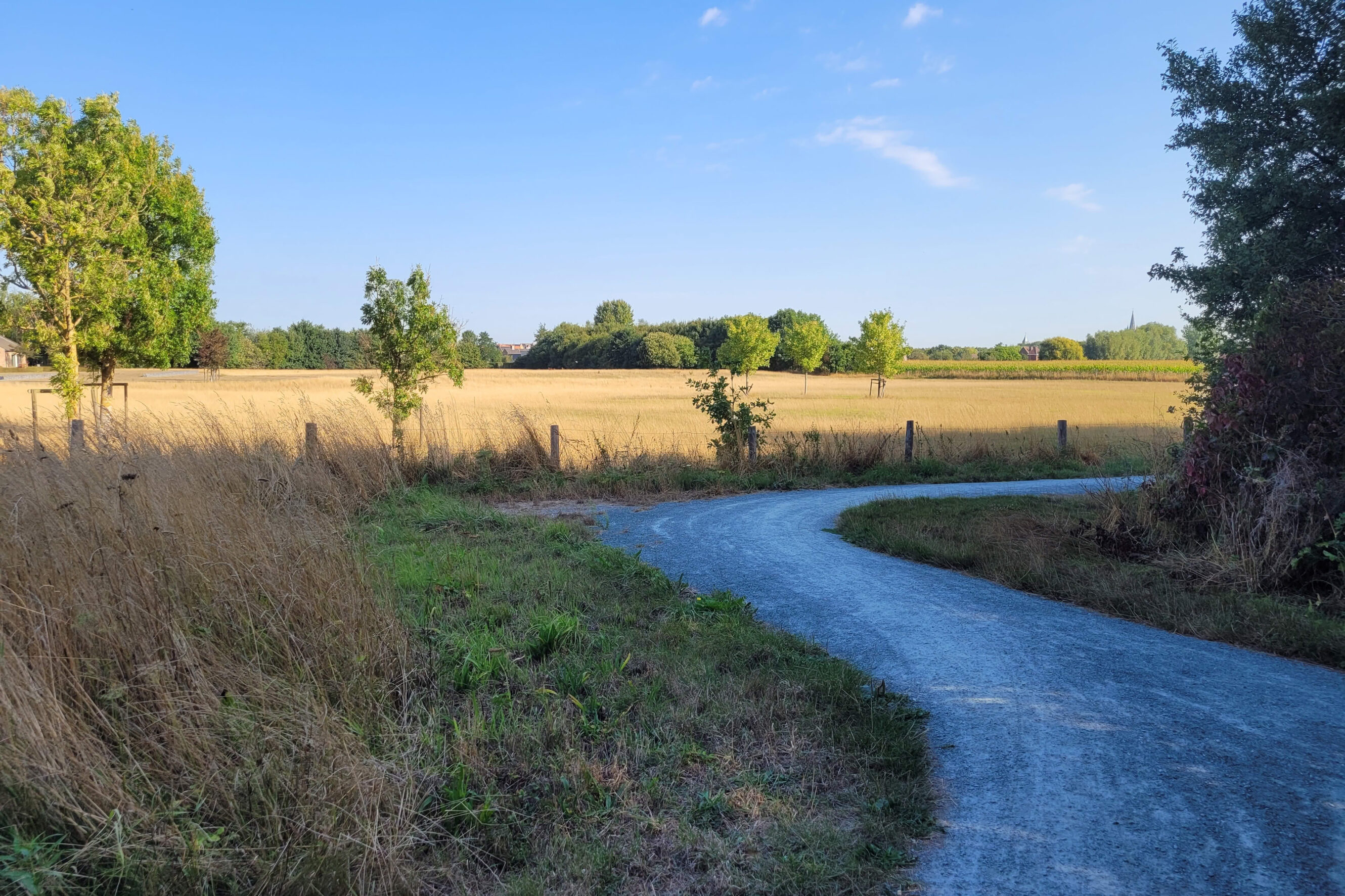 20220831 101419 kopie