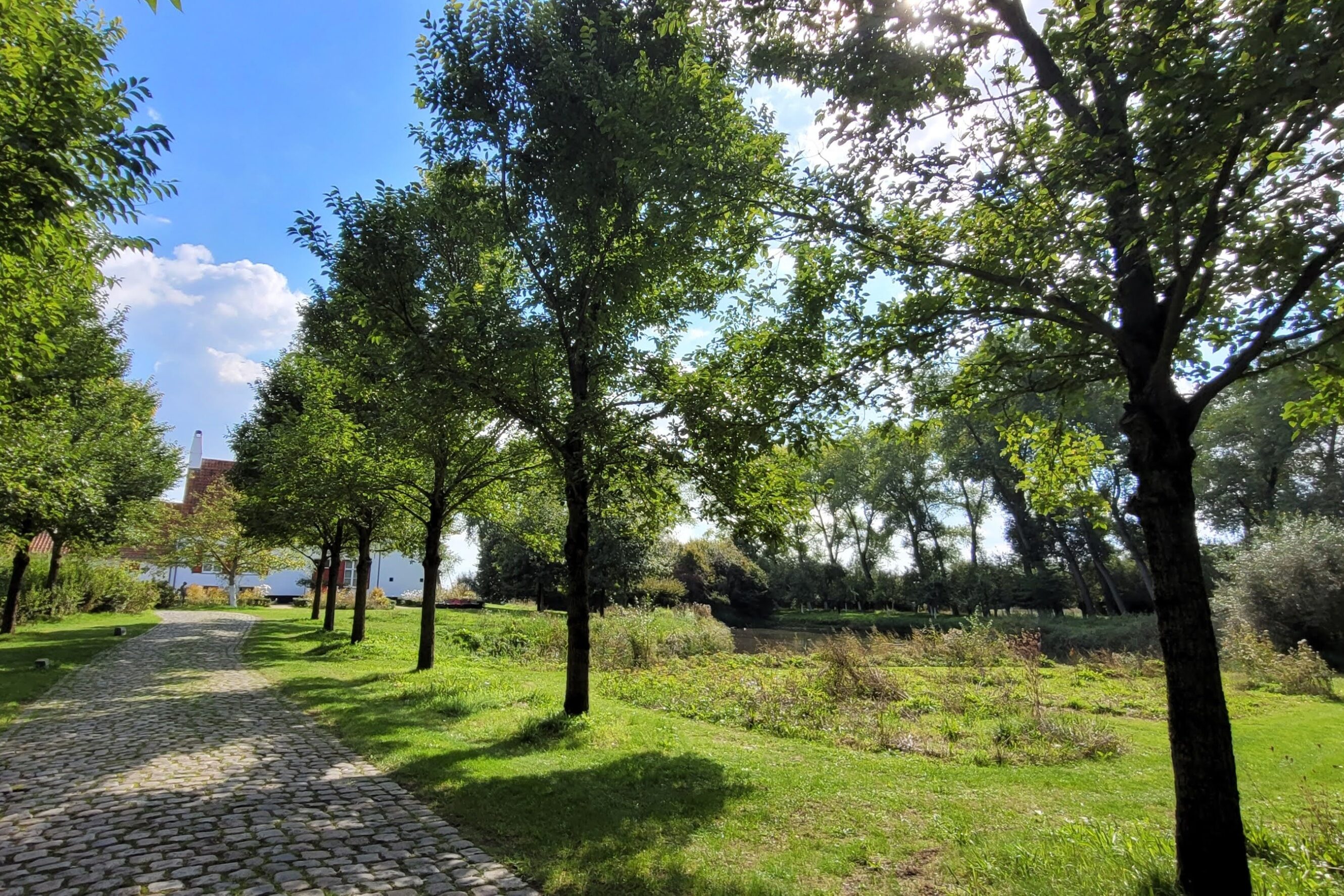 68f058236a2b26cb75e48c9d34a8f2fb