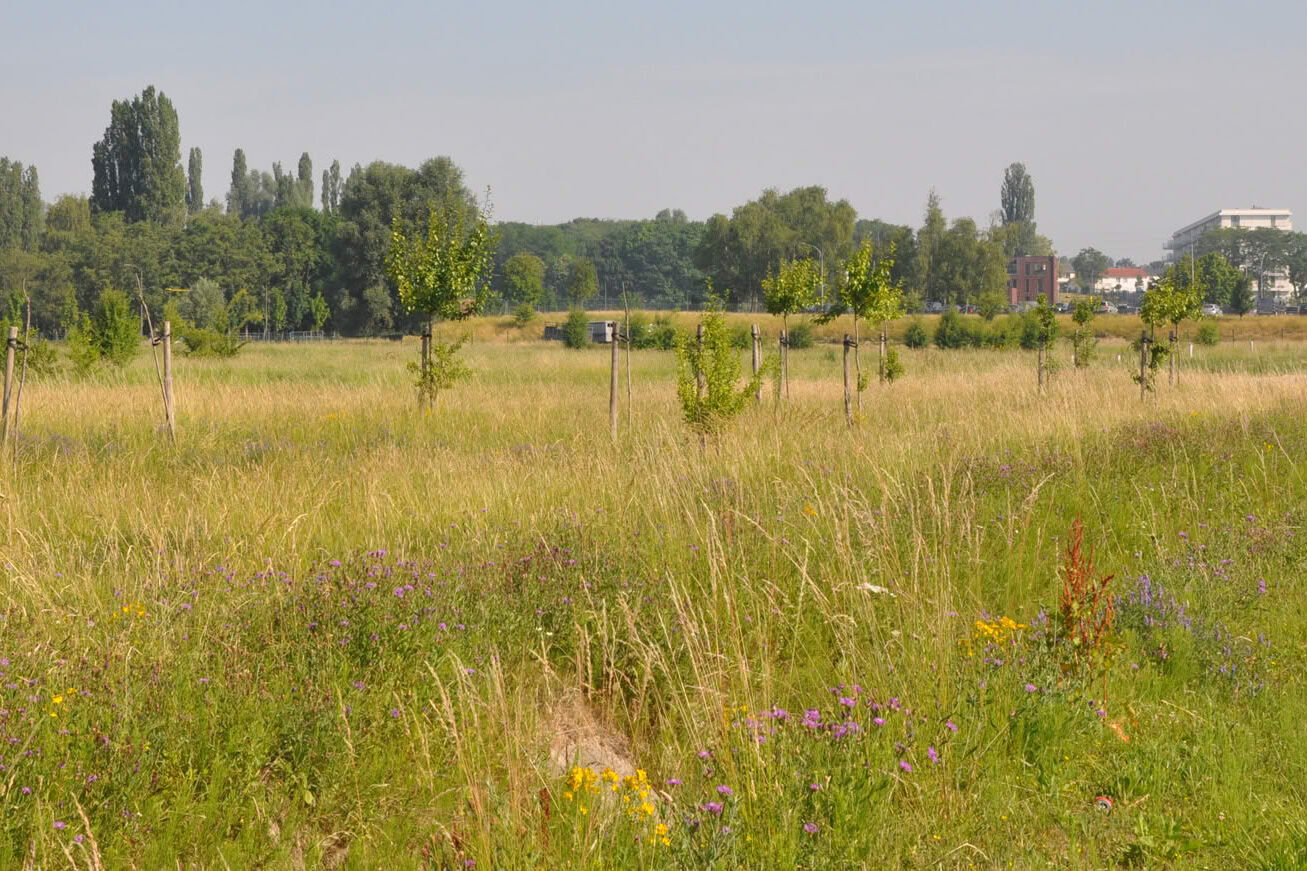 Header 2 B Connect Inverde