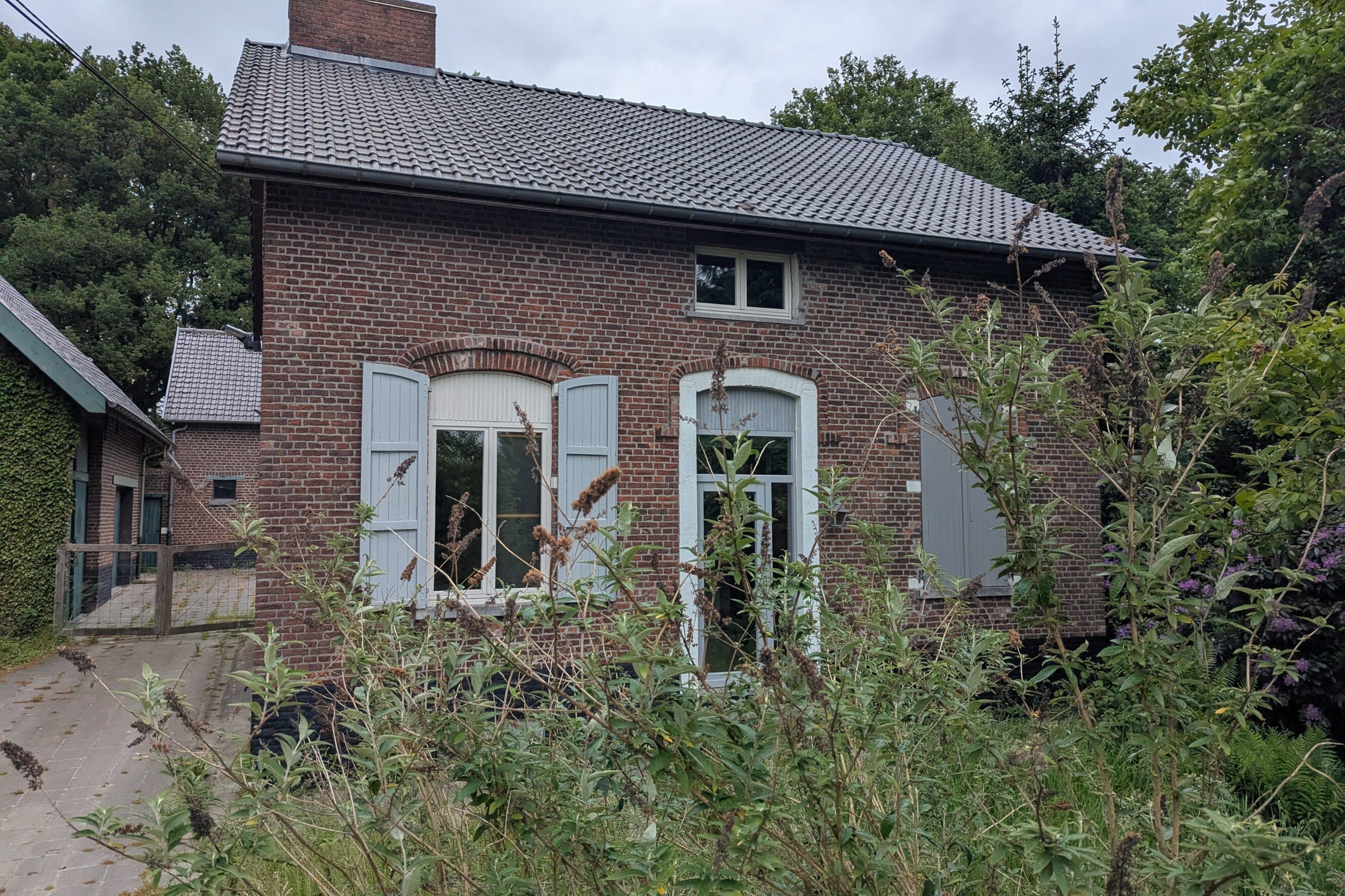 PXL 20250522 090654034