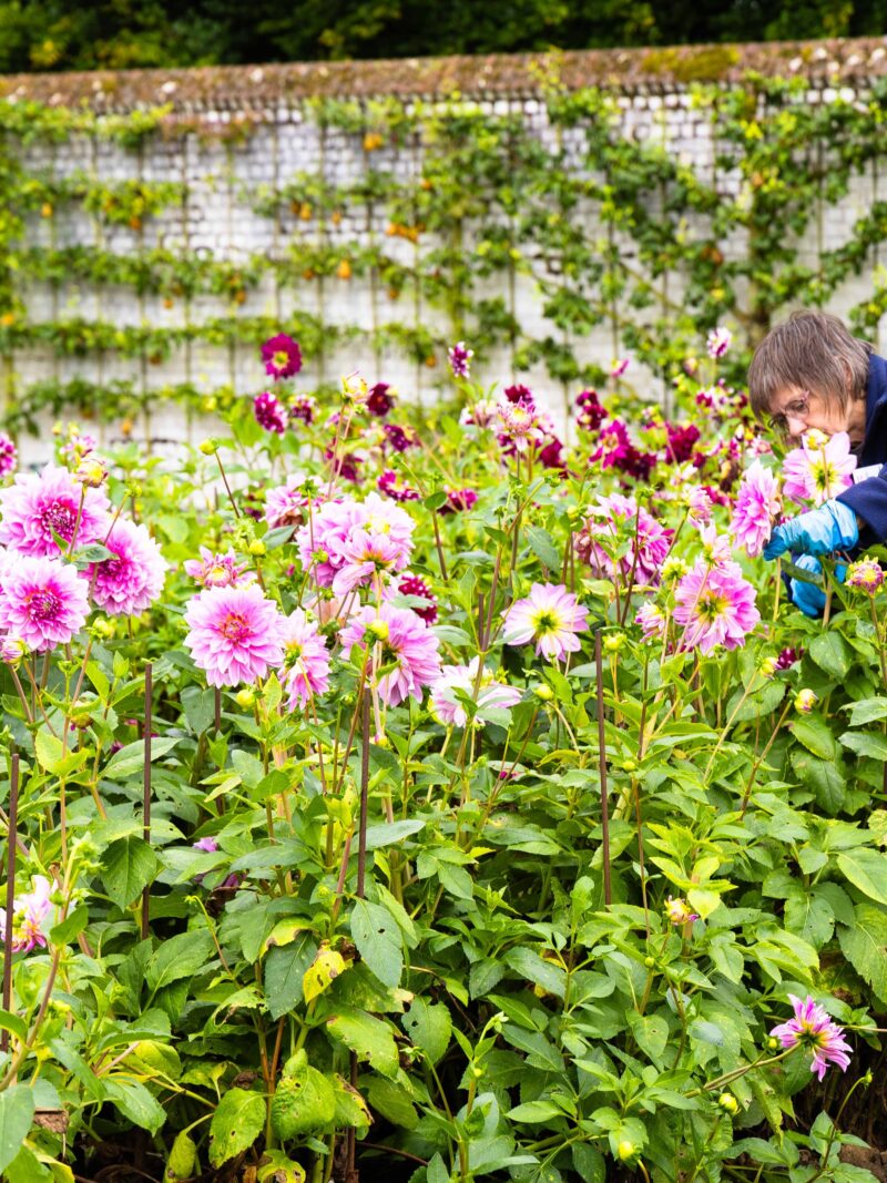 1 N0 A7576 SEPTEMBER 2024