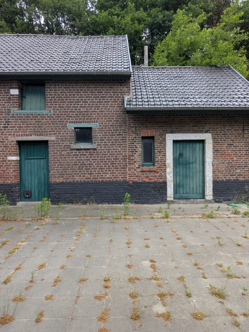 PXL 20250522 085328475