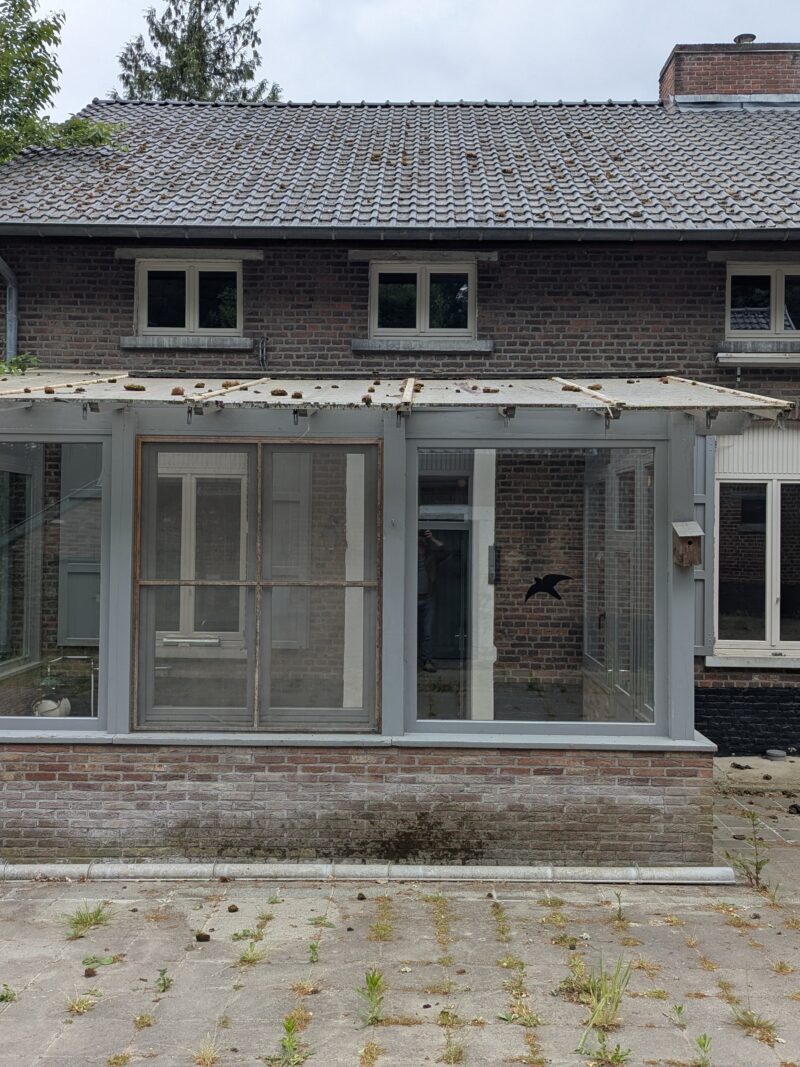 PXL 20250522 085355390