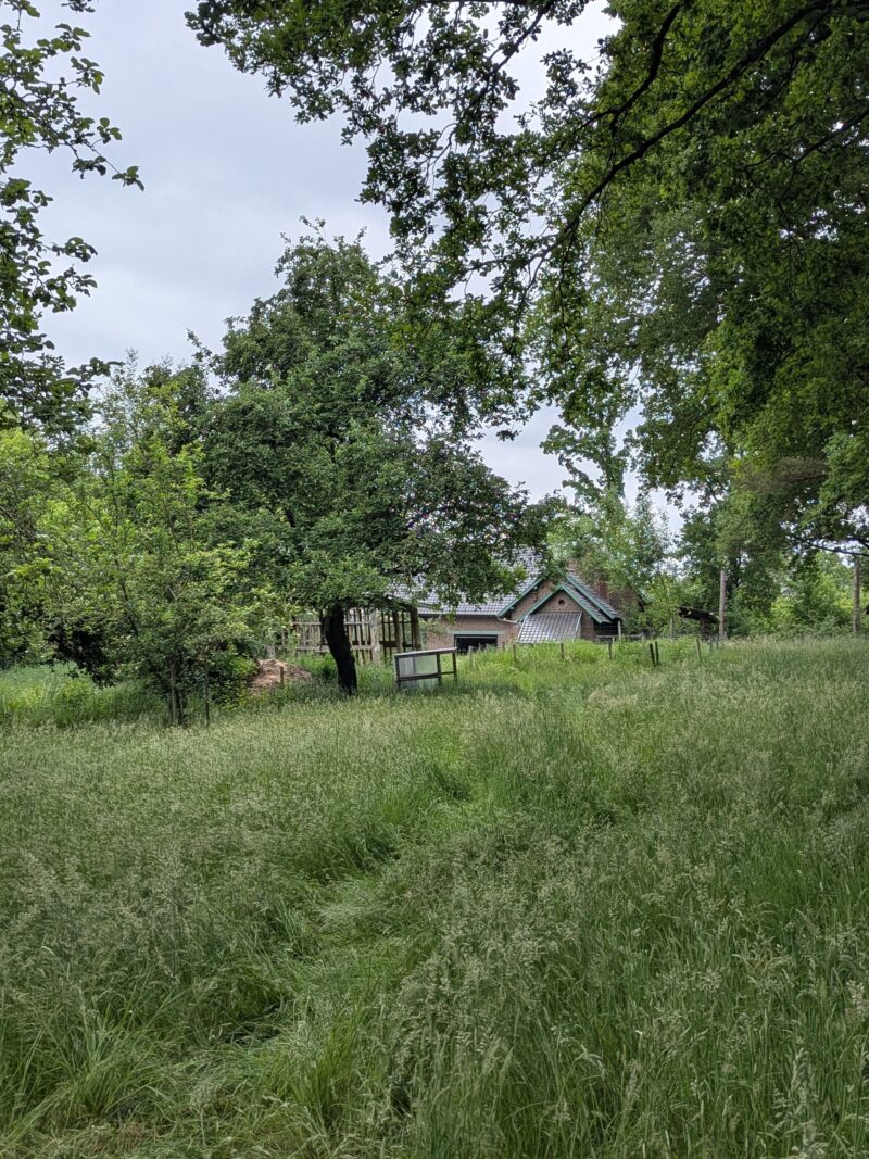 PXL 20250522 085510647