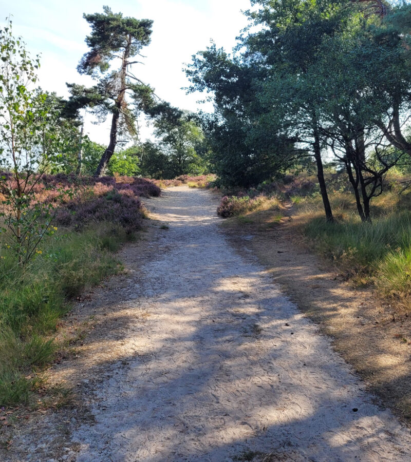 20220902 104849 0