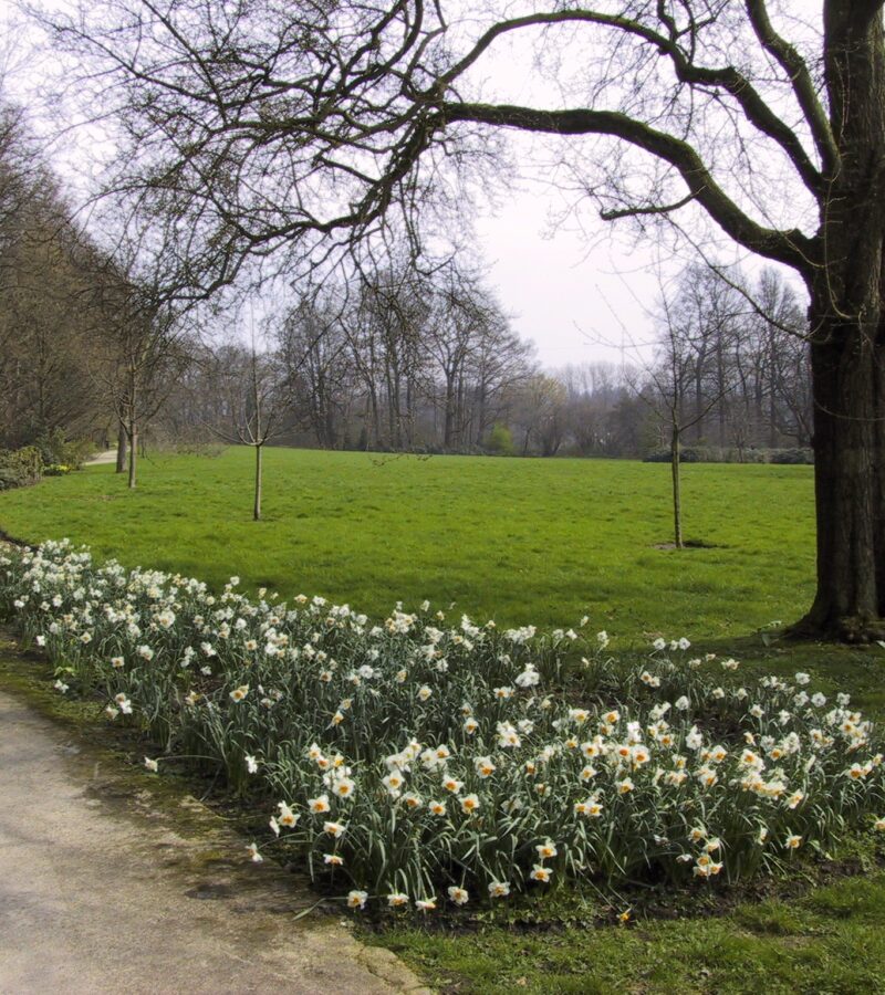 Groenenberg2