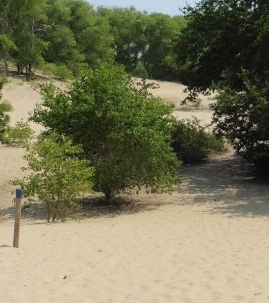 Oosthoekduinen johan lamaire 1