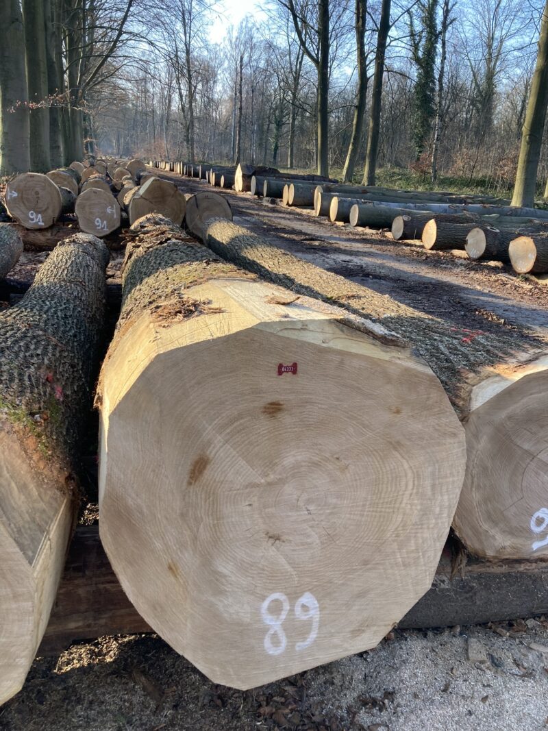 Vlaams Houtpark detail