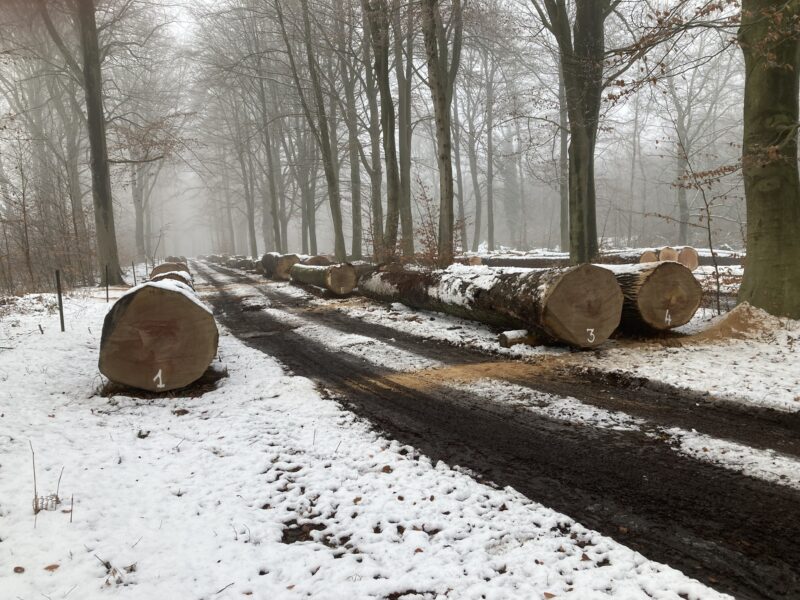 Houtverkoop Vlaams Houtpark 25