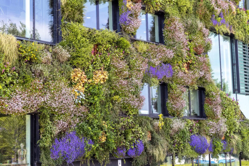 794a0228 a560 49d0 9927 20ccdd2dd2ee