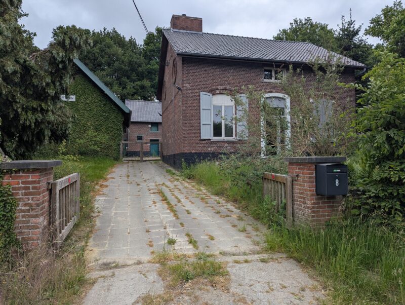 PXL 20250522 090707314