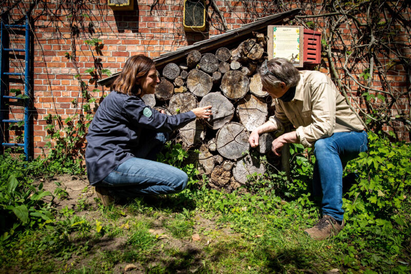 Tuinrangers insectenhotel
