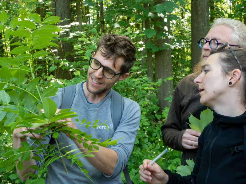 De9dc9f96680a8576d9e84a04aa68487