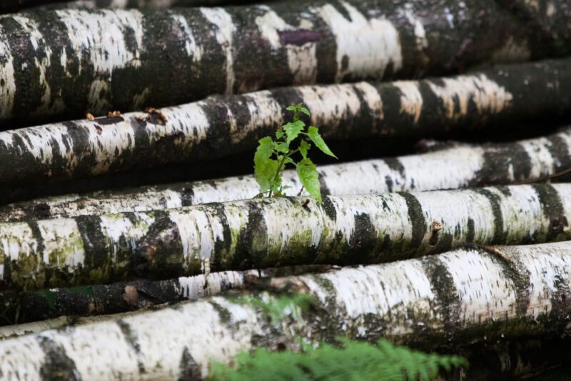 Eco 2 eco hires 90 1030x687