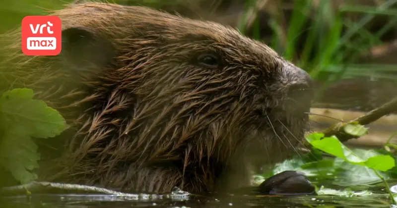 F7fd6637 8da6 11ed b07d 02b7b76bf47f