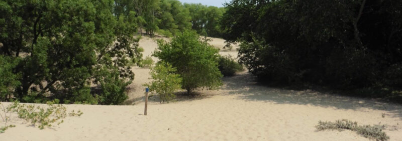 Oosthoekduinen johan lamaire 1