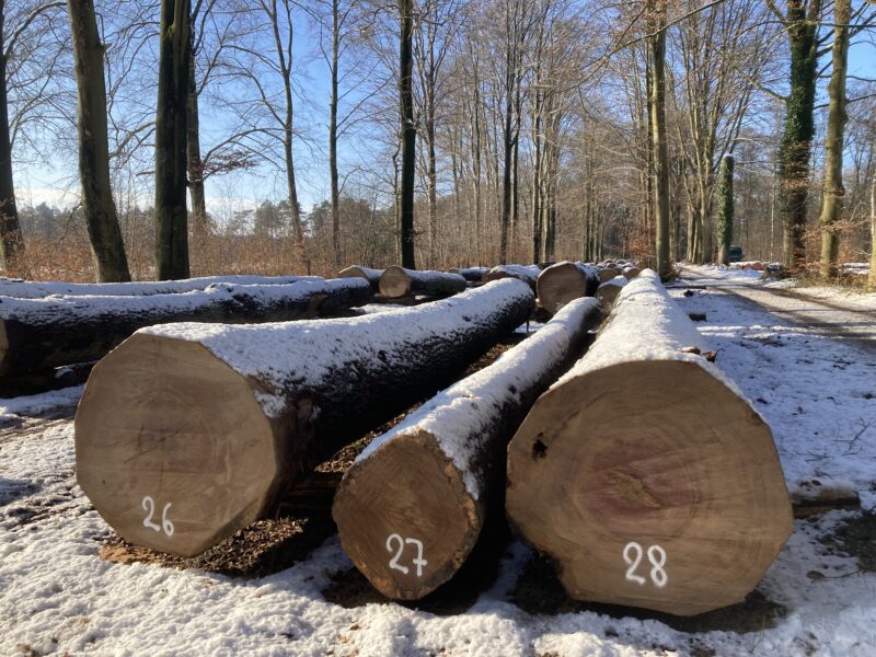 Houtverkoop Vlaams Houtpark 2025