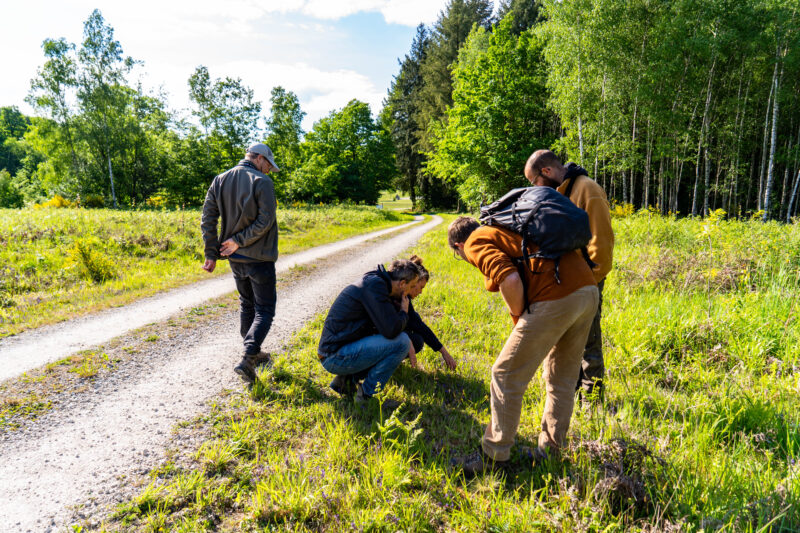 Natuurinvest Teamtweedaagse 2025 Ingrid Visser 10
